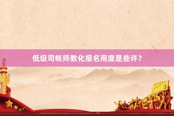 低级司帐师教化报名用度是些许？