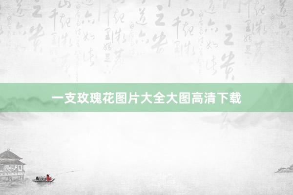 一支玫瑰花图片大全大图高清下载